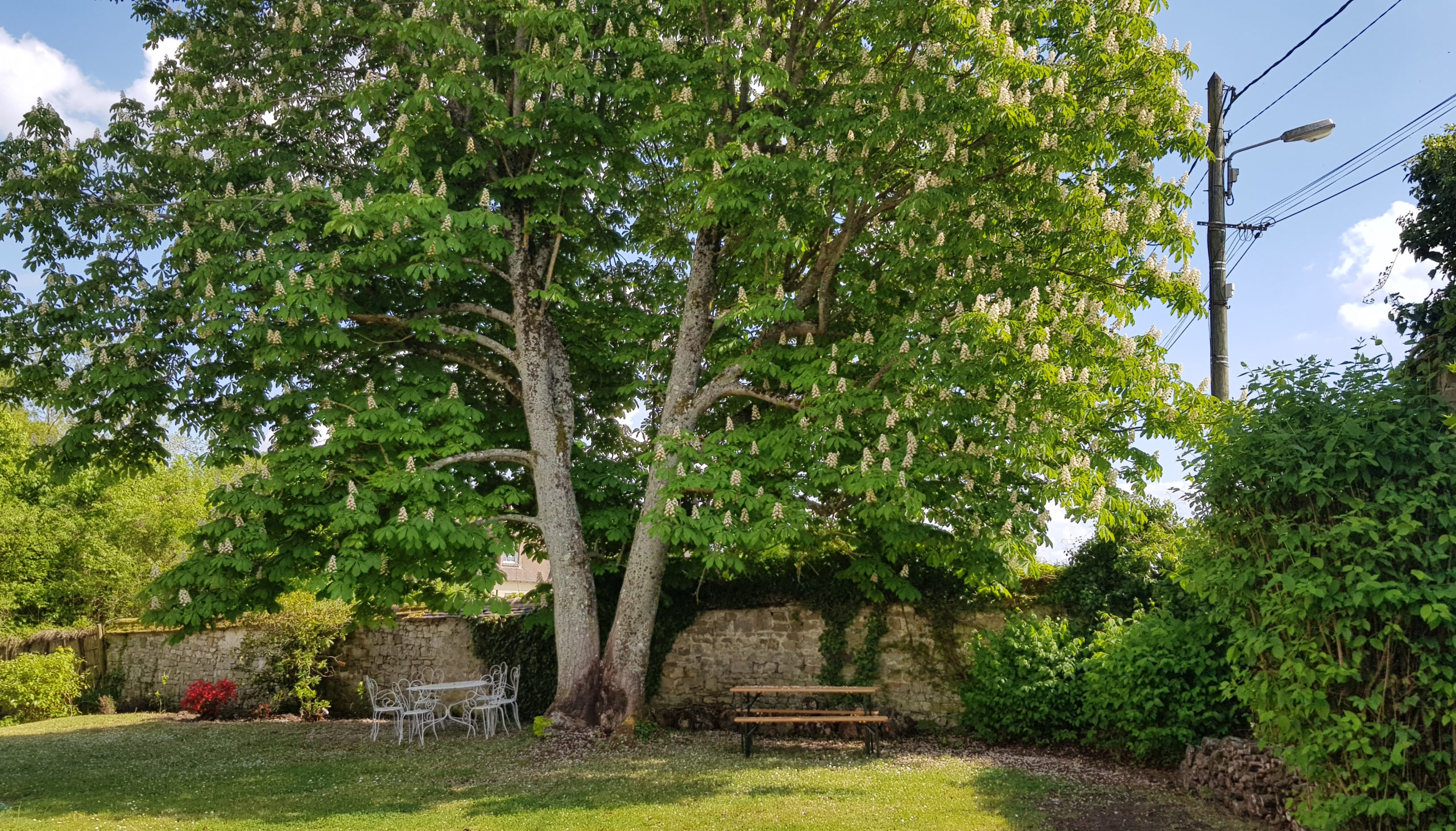 Maison de charme en forêt de Fontainebleau