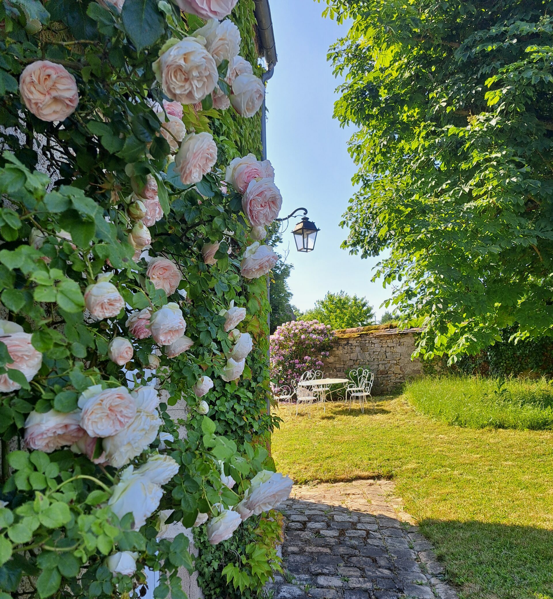 Chambres d'hôtes en forêt de Fontainebleau